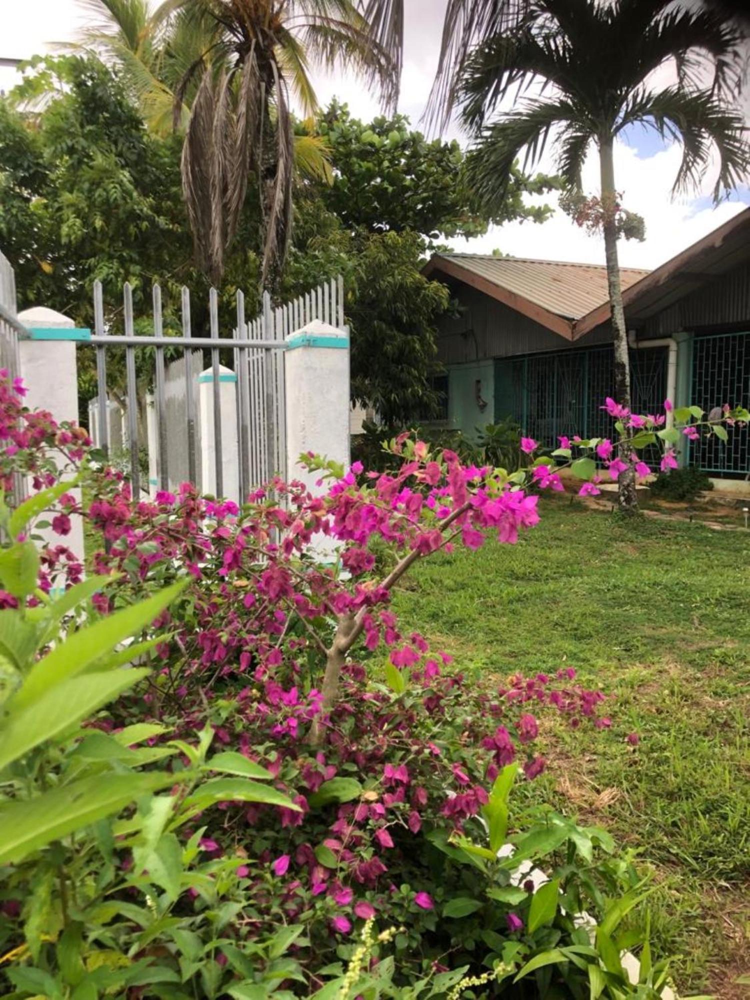 Unu Pikin Guesthouse باراماريبو المظهر الخارجي الصورة